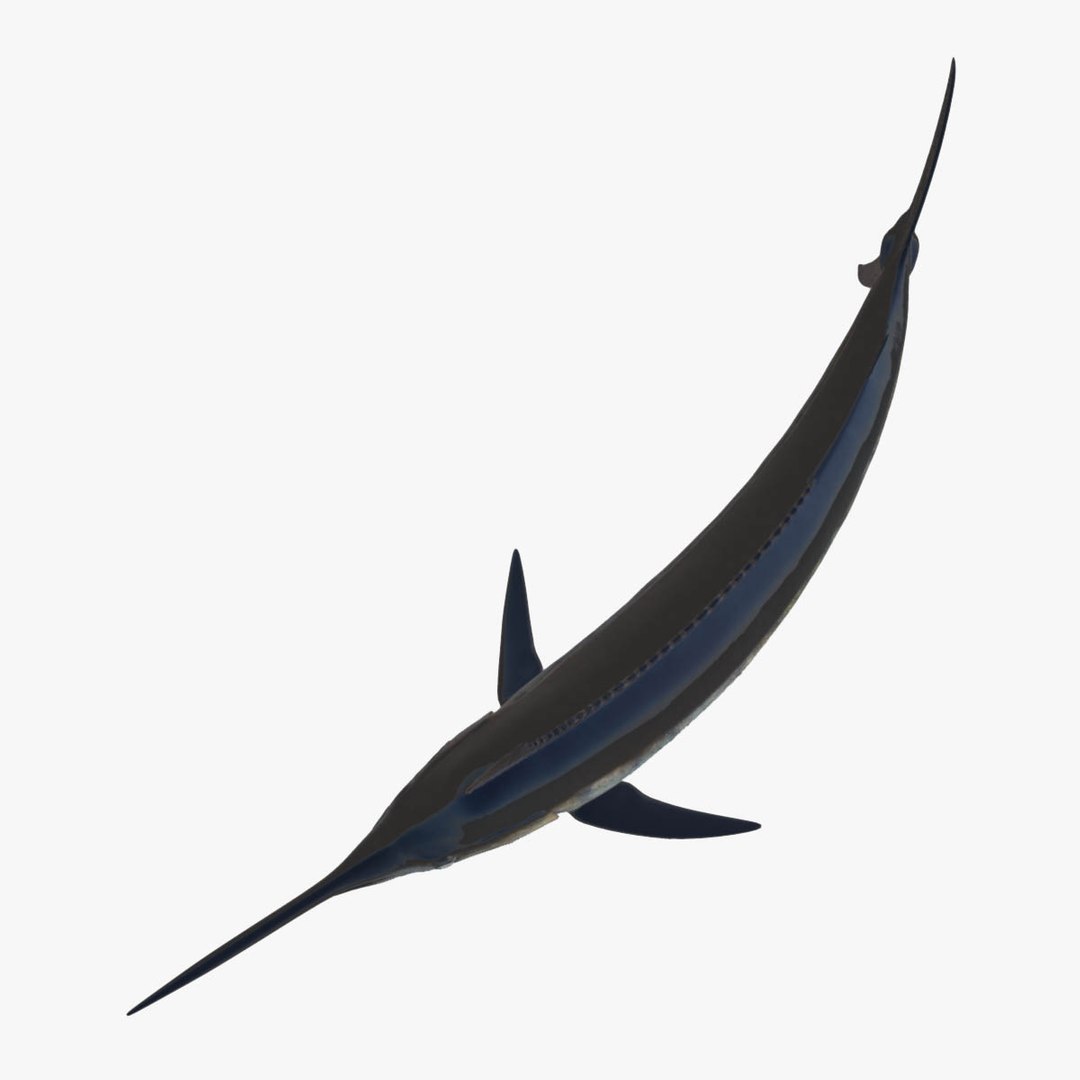 3D model big marlin tuna https://p.turbosquid.com/ts-thumb/on/ItcFXm/uZJ6nOJW/marlin21/jpg/1531690725/1920x1080/fit_q87/fbad5a7b7f41a35293dd8854e1c5e5deb1c0642f/marlin21.jpg