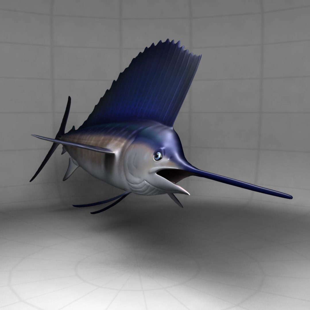 3D model big marlin tuna https://p.turbosquid.com/ts-thumb/on/ItcFXm/v3ykIXSI/sailfish6/jpg/1531690905/1920x1080/fit_q87/04359024916e3c84ef816e53e8372c4f9231fed4/sailfish6.jpg