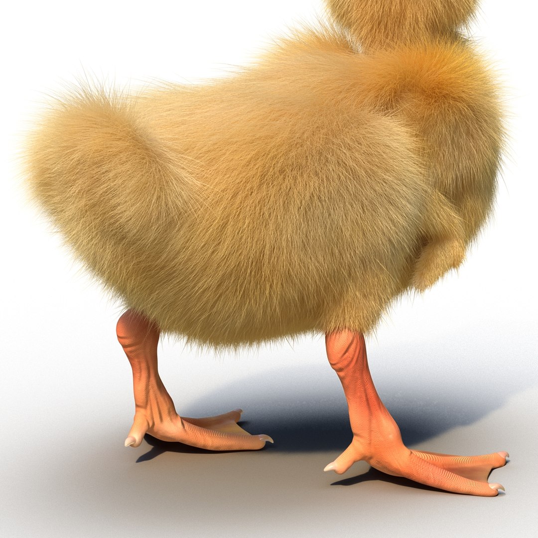 3d duckling pose 3