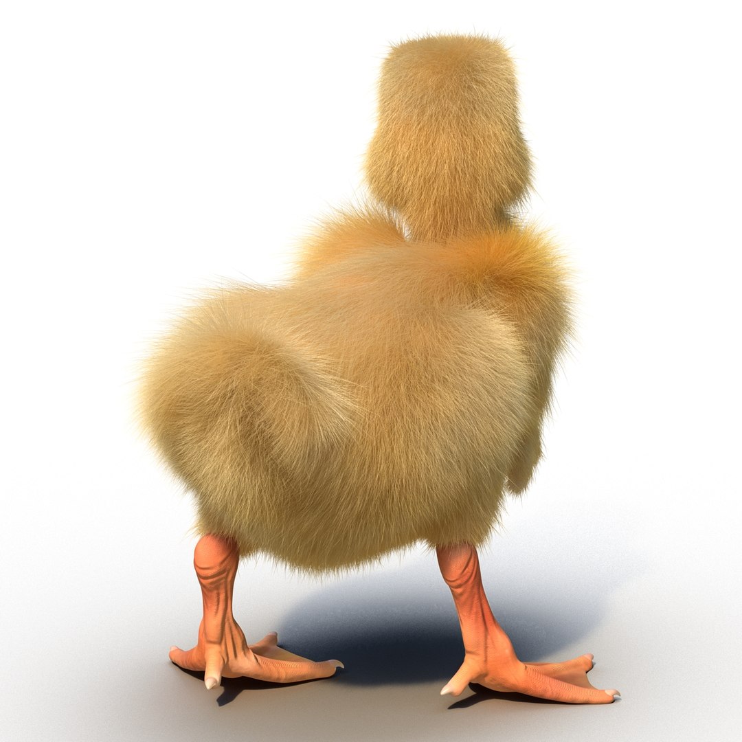 3d duckling pose 3