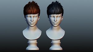 3D Female hair low poly 2 color