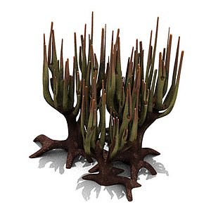 plant: plant 3d model