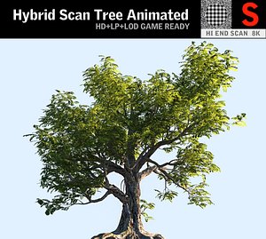 3D model tree scanned ready