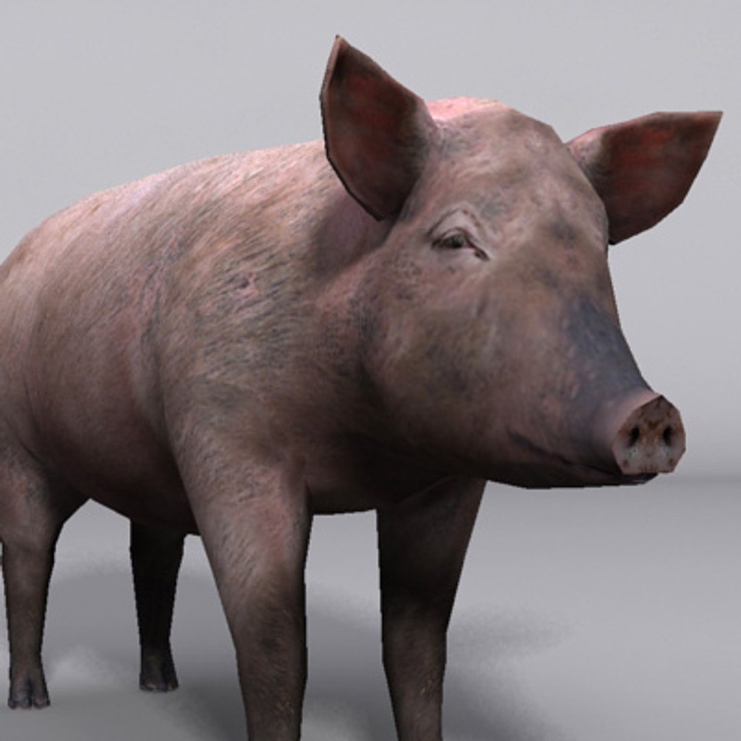 Pig Max