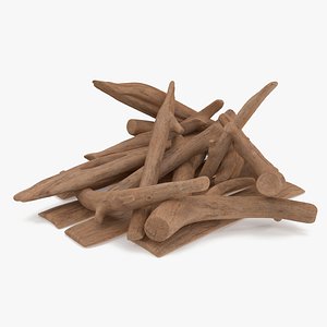 3D Driftwood Pile