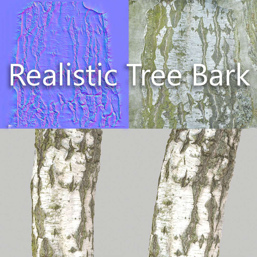 obj tree bark https://p.turbosquid.com/ts-thumb/on/bW8KjA/Nw7229Gm/bark7/jpg/1451489518/1920x1080/fit_q87/2bf6d442ae4ad11628862fcd5c926d2095679d2e/bark7.jpg