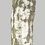 obj tree bark