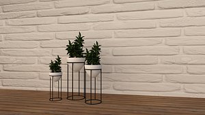 Potted plant 3D model