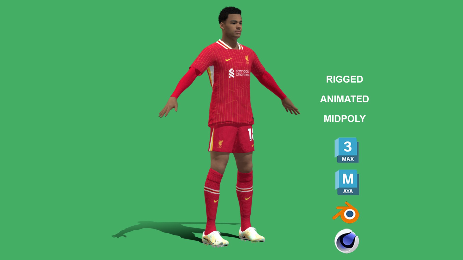 3D 3D Rigged Cody Gakpo Liverpool 2025 TurboSquid 2255074