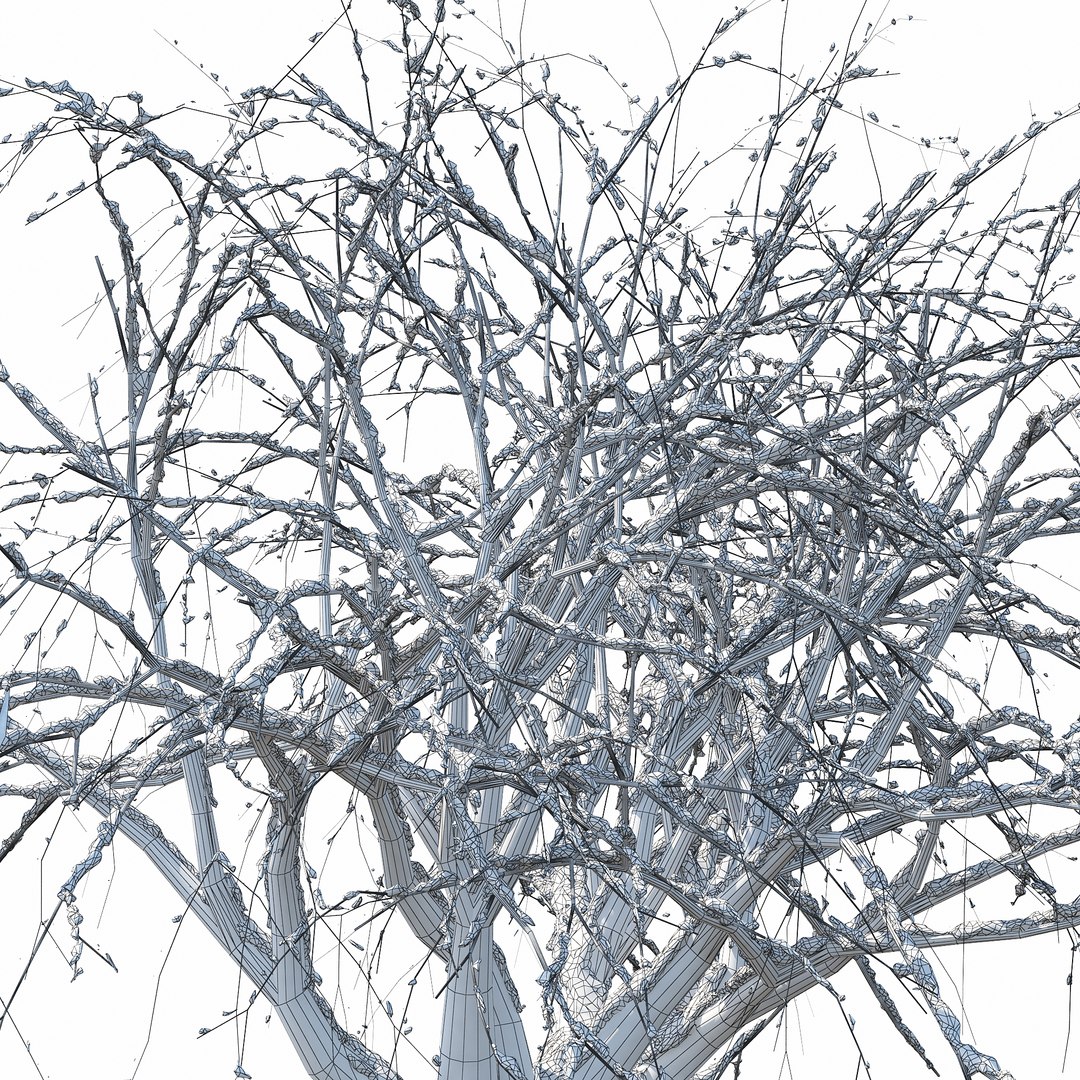 3D Winter Tree 022 Model - TurboSquid 1232840