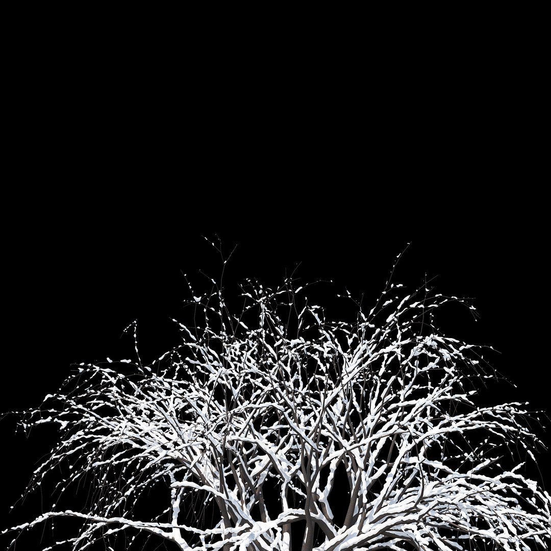 3D Winter Tree 022 Model - TurboSquid 1232840