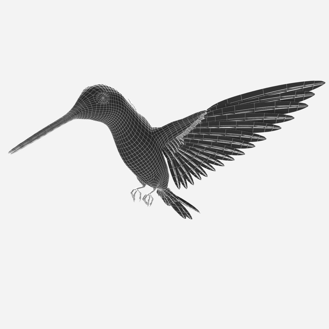 Obj Hummingbird Bird Humming