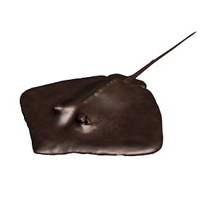 used projects 3d model