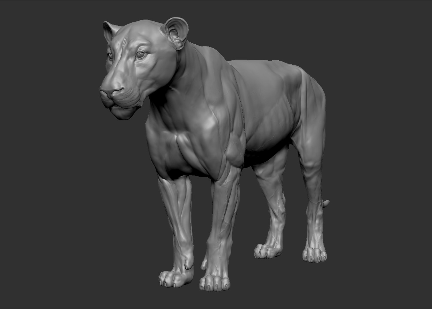 Lion Big Cat Model - TurboSquid 1214399