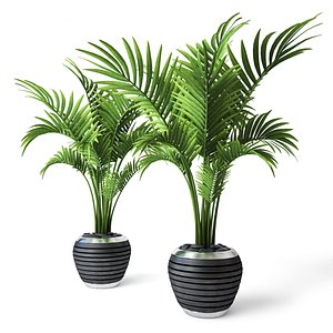 3D palm tree