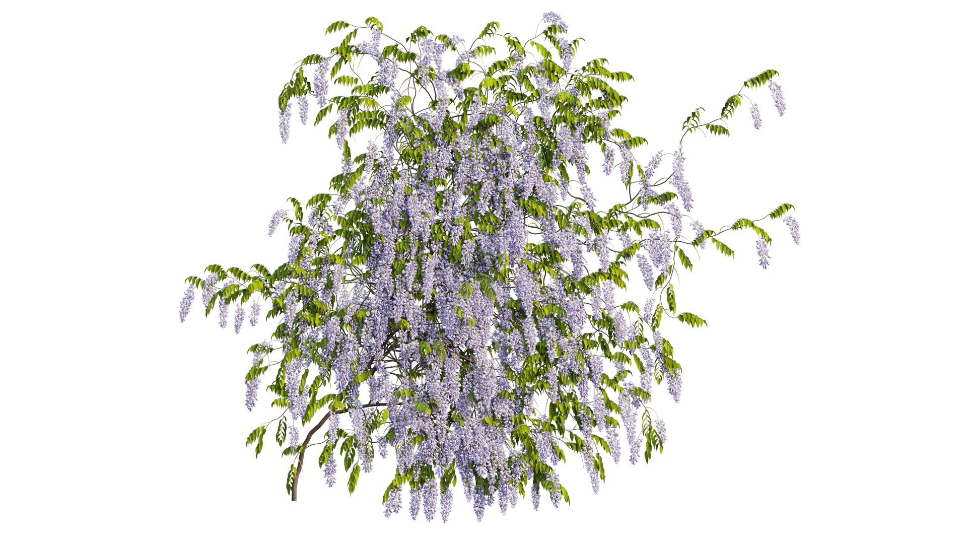 3D tree 03 https://p.turbosquid.com/ts-thumb/op/1wTrKE/SV/5_interactivelightmix/png/1606747693/1920x1080/fit_q87/5bd53c72031fb83c2650463dea03e55fd2f38e04/5_interactivelightmix.jpg