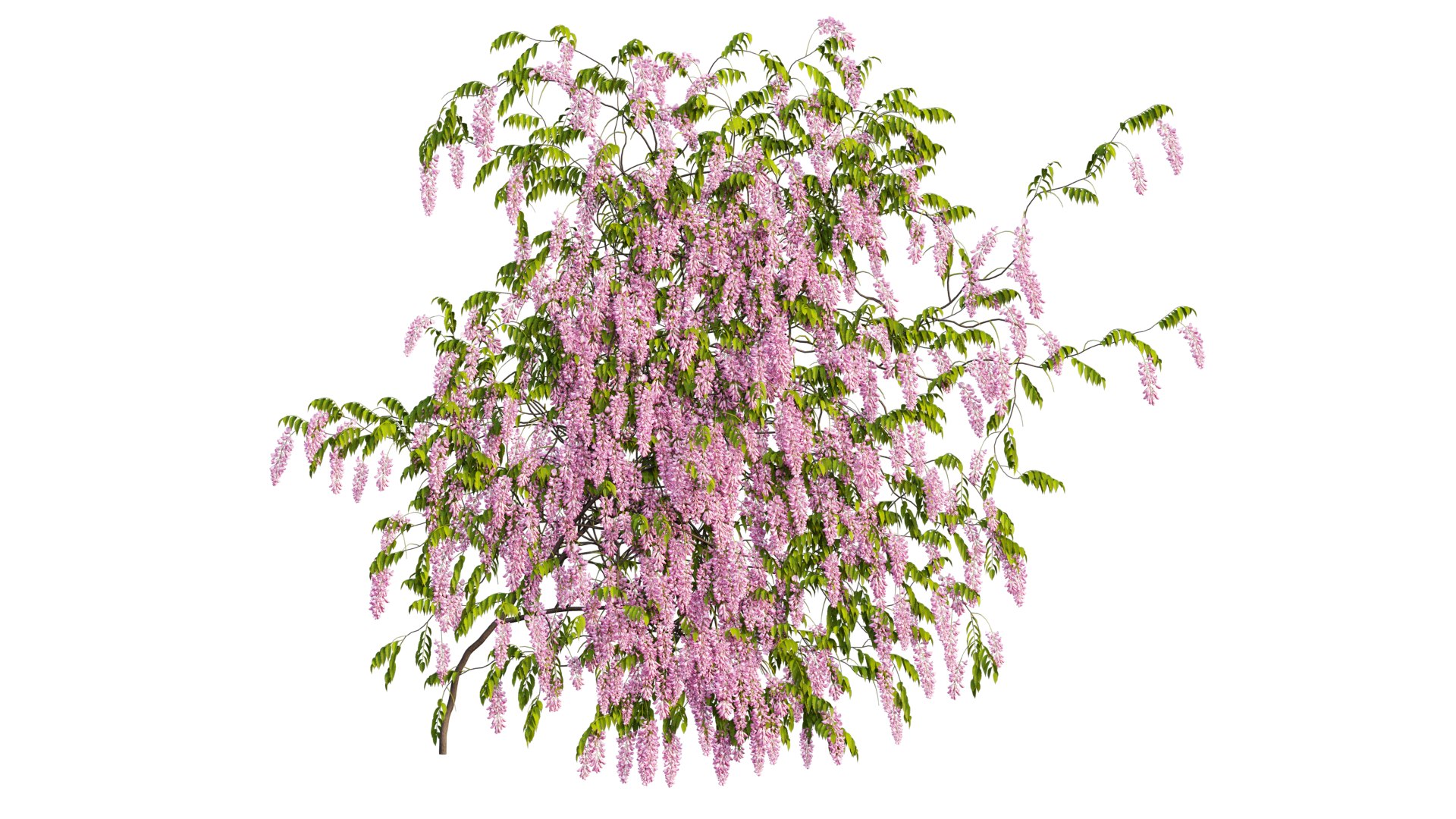 3D tree 03 https://p.turbosquid.com/ts-thumb/op/1wTrKE/Yc/3_interactivelightmix/png/1606747688/1920x1080/fit_q87/f1b00a005a5ce47beabf1ee194bc5c03e20f2c70/3_interactivelightmix.jpg