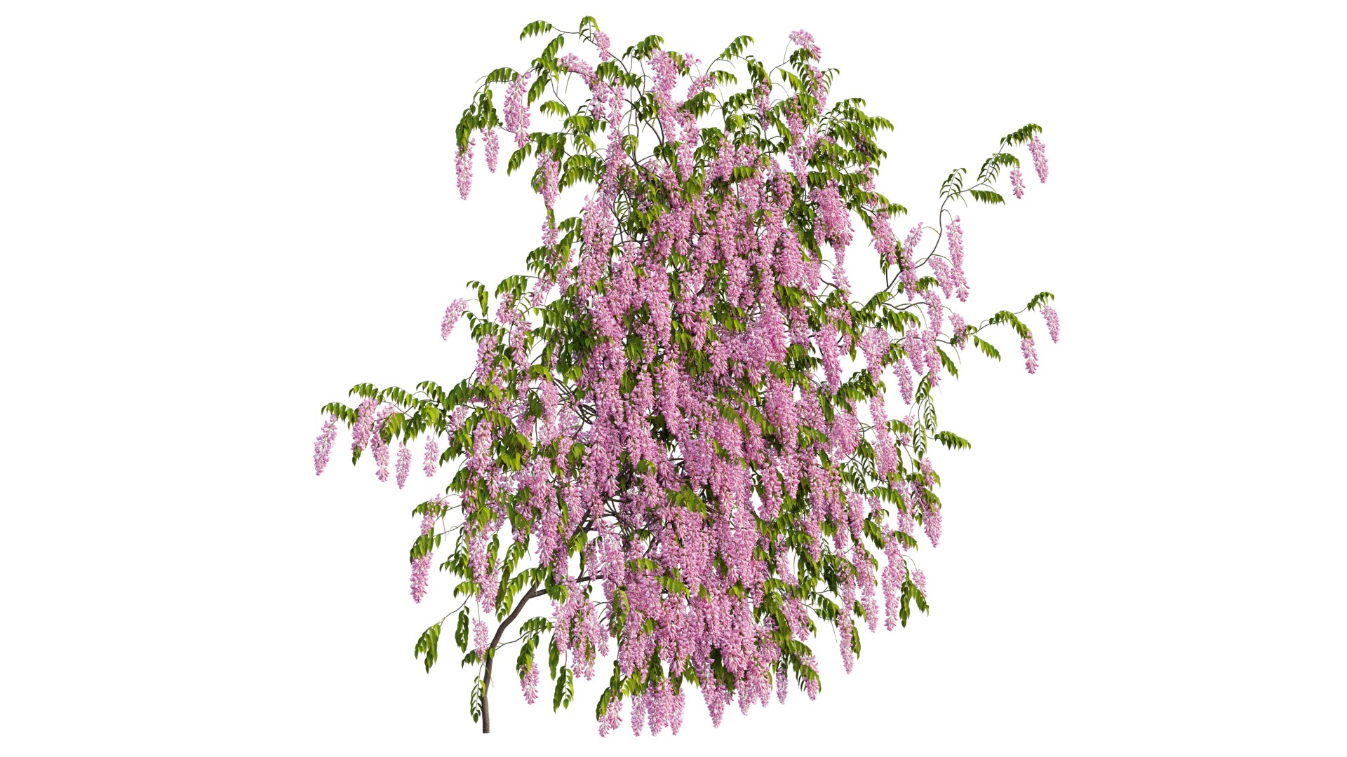 3D tree 03 https://p.turbosquid.com/ts-thumb/op/1wTrKE/qL/9_interactivelightmix/png/1606747701/1920x1080/fit_q87/57c8826ddd814ed28295974a9015163fe66f533d/9_interactivelightmix.jpg