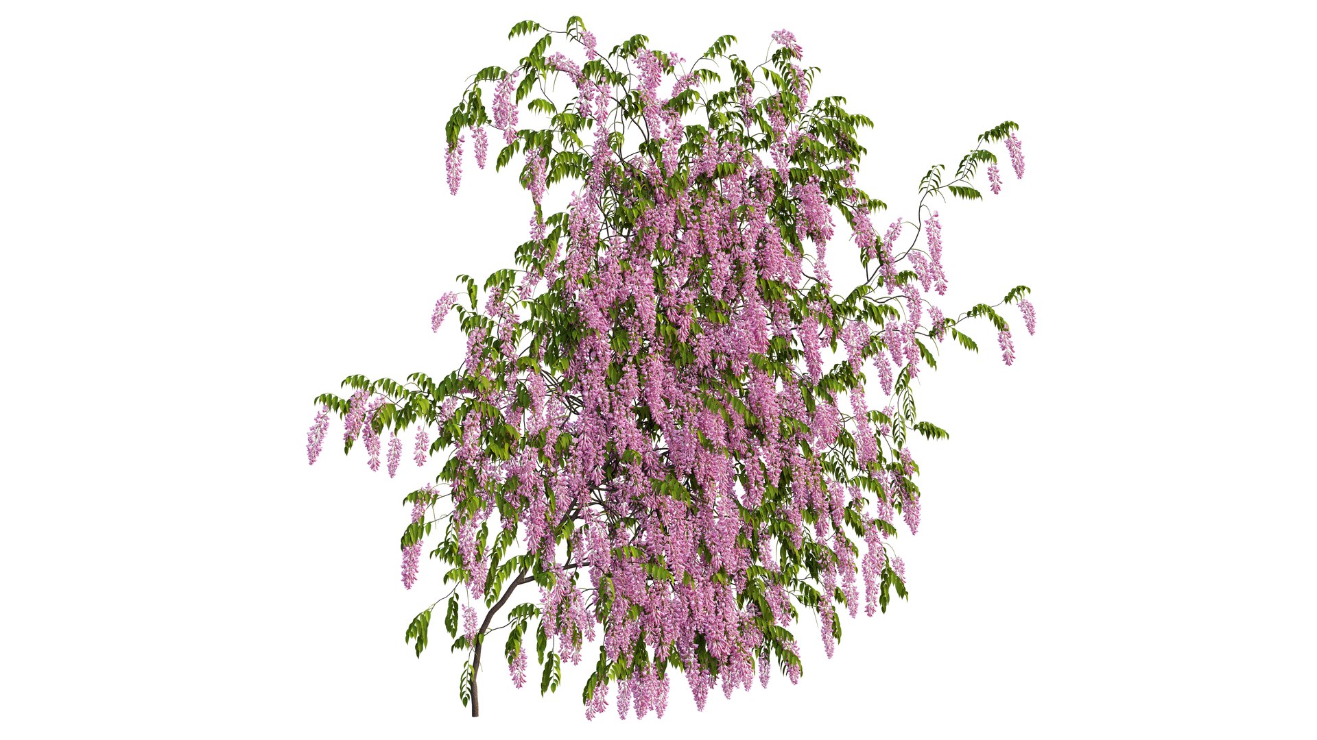 3D tree 03 https://p.turbosquid.com/ts-thumb/op/1wTrKE/s5/2_interactivelightmix/png/1606747703/1920x1080/fit_q87/d96ed332857c14e924eece6fc4870470cffe7d7e/2_interactivelightmix.jpg