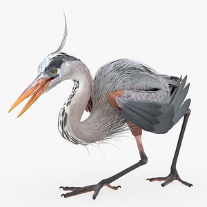 Great Blue Heron Rigged For Blender