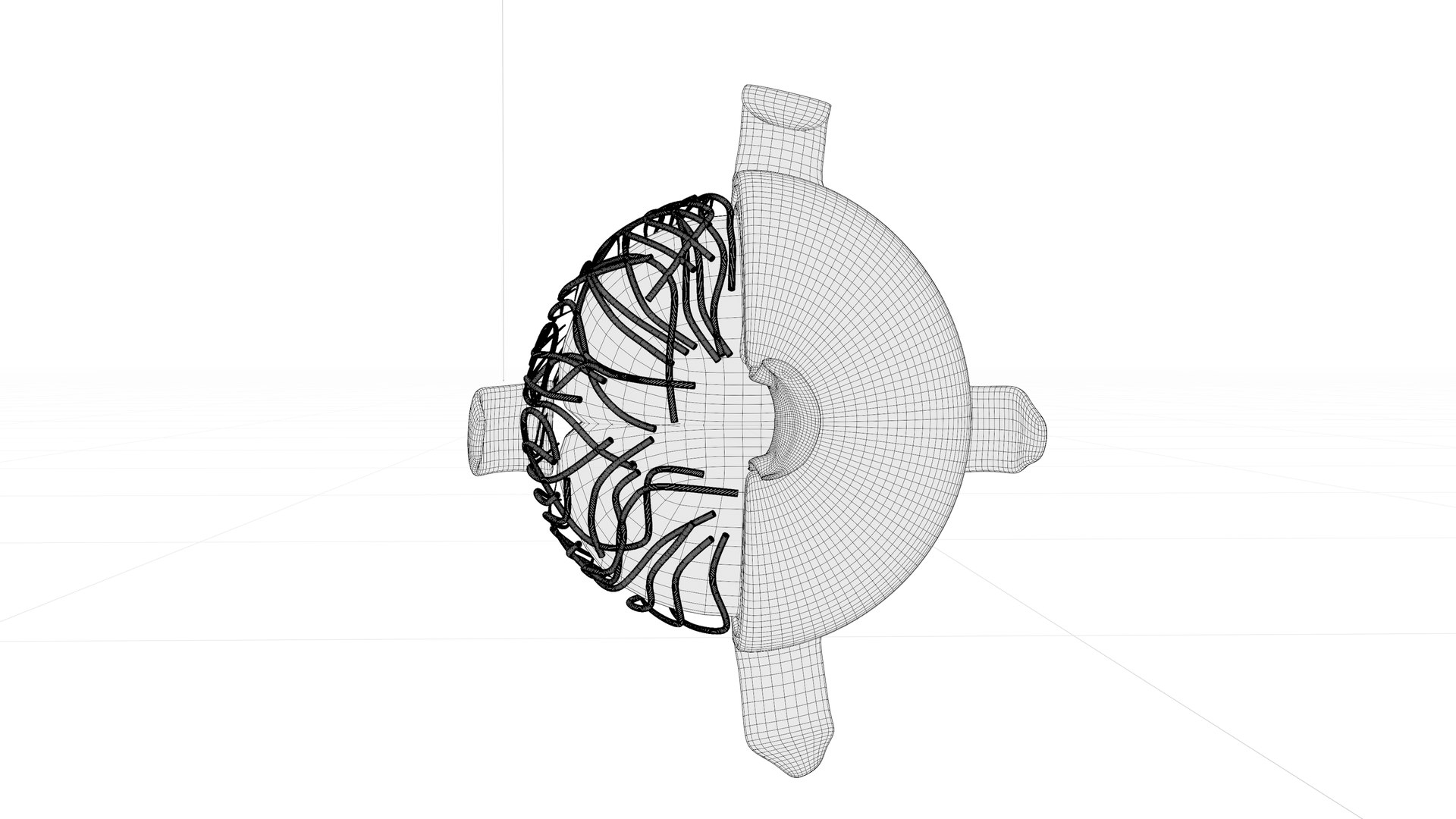 3D Eye anatomy model https://p.turbosquid.com/ts-thumb/op/L2dPvn/d2/w3/png/1757707009/1920x1080/fit_q87/633757b20c7c69cf498e1cd9a87b204f788bf390/w3.jpg