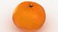 mandarin 3D model