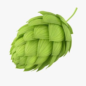 Realistic Hops 3D model