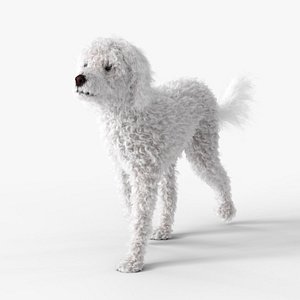 Animated Retrodoodle Dog Fur 3D