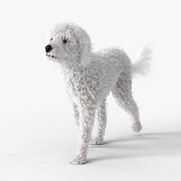 Animated Retrodoodle Dog Fur