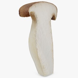 3D King Trumpet Half 02