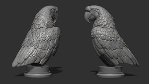 Parrot Ara bust 3D model