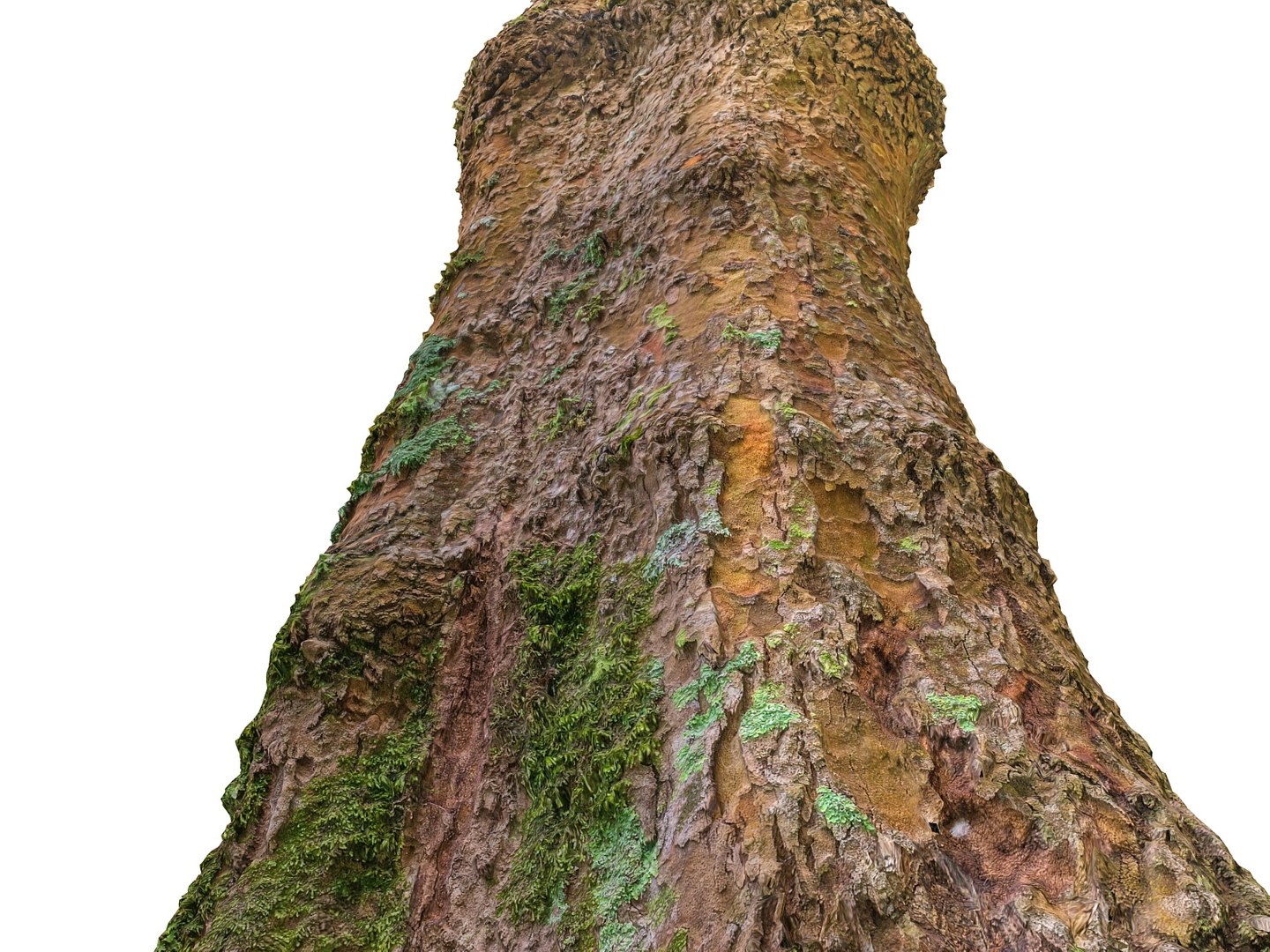 3D model jungle tree 8k https://p.turbosquid.com/ts-thumb/op/htD6qH/5BD9y1Ei/00000/jpg/1509735797/1920x1080/fit_q87/46c2a7996ae4fe943b7e6f7d425f9deff54a4ebd/00000.jpg