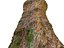 Bark of the jungle tree 8K