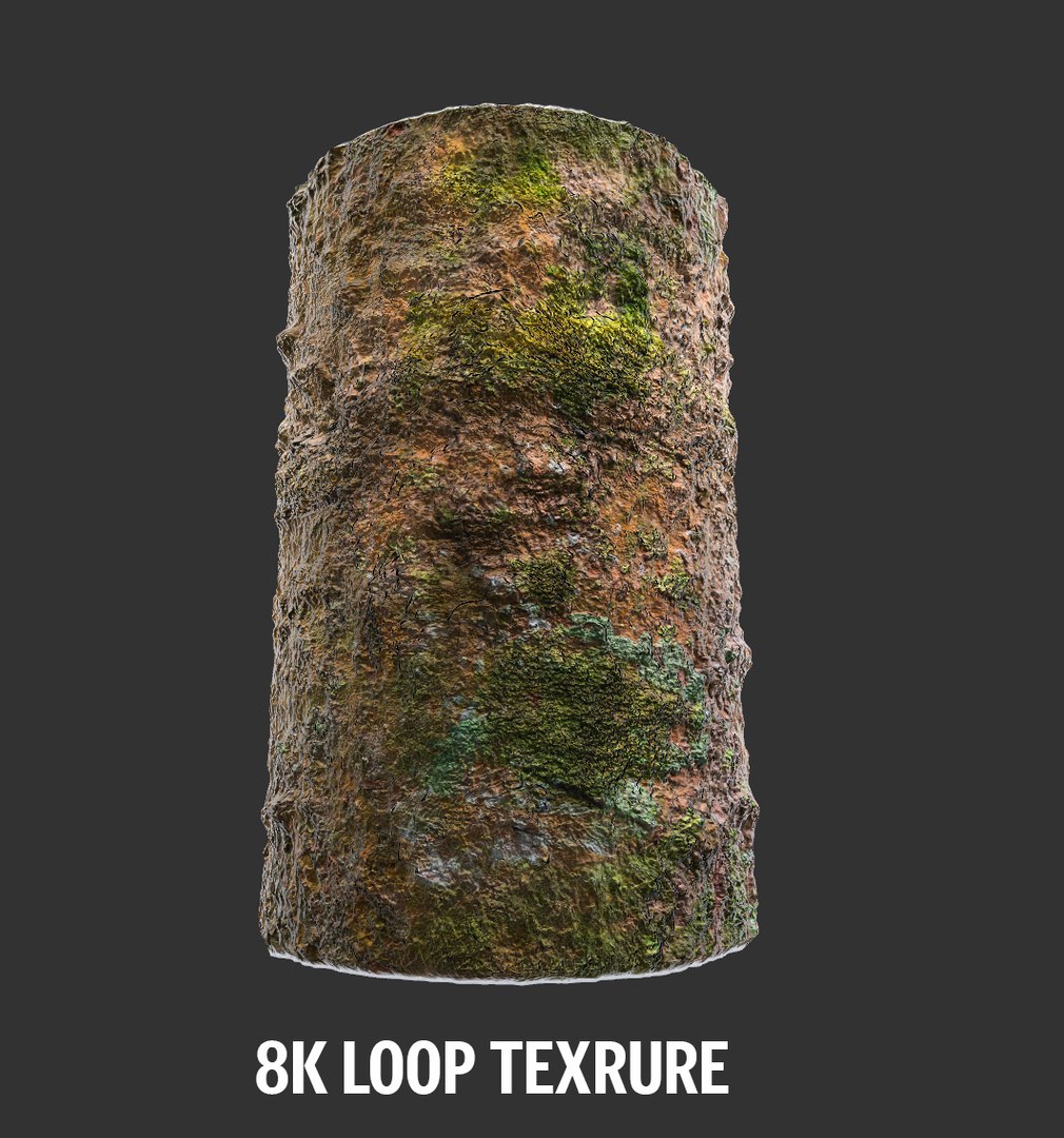 3D model jungle tree 8k https://p.turbosquid.com/ts-thumb/op/htD6qH/nBW1kyul/88890/jpg/1509735795/1920x1080/fit_q87/d3a4902ea3ed1d7e4d10adcbebd149d75f066f63/88890.jpg