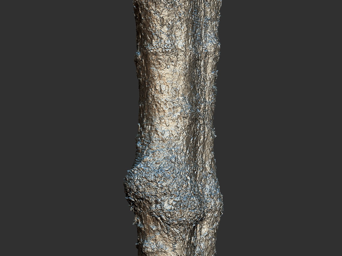 3D model jungle tree 8k https://p.turbosquid.com/ts-thumb/op/htD6qH/rLxbOFy5/66667/jpg/1509735773/1920x1080/fit_q87/7dc3b41e9708c97a380ccbf42b05c7f63b4053e6/66667.jpg