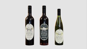 wine 3 botles model