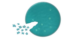 maya multiple fission ameoba