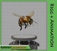 Honey Bee