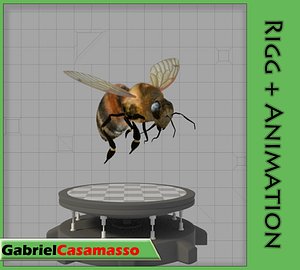 Honey Bee