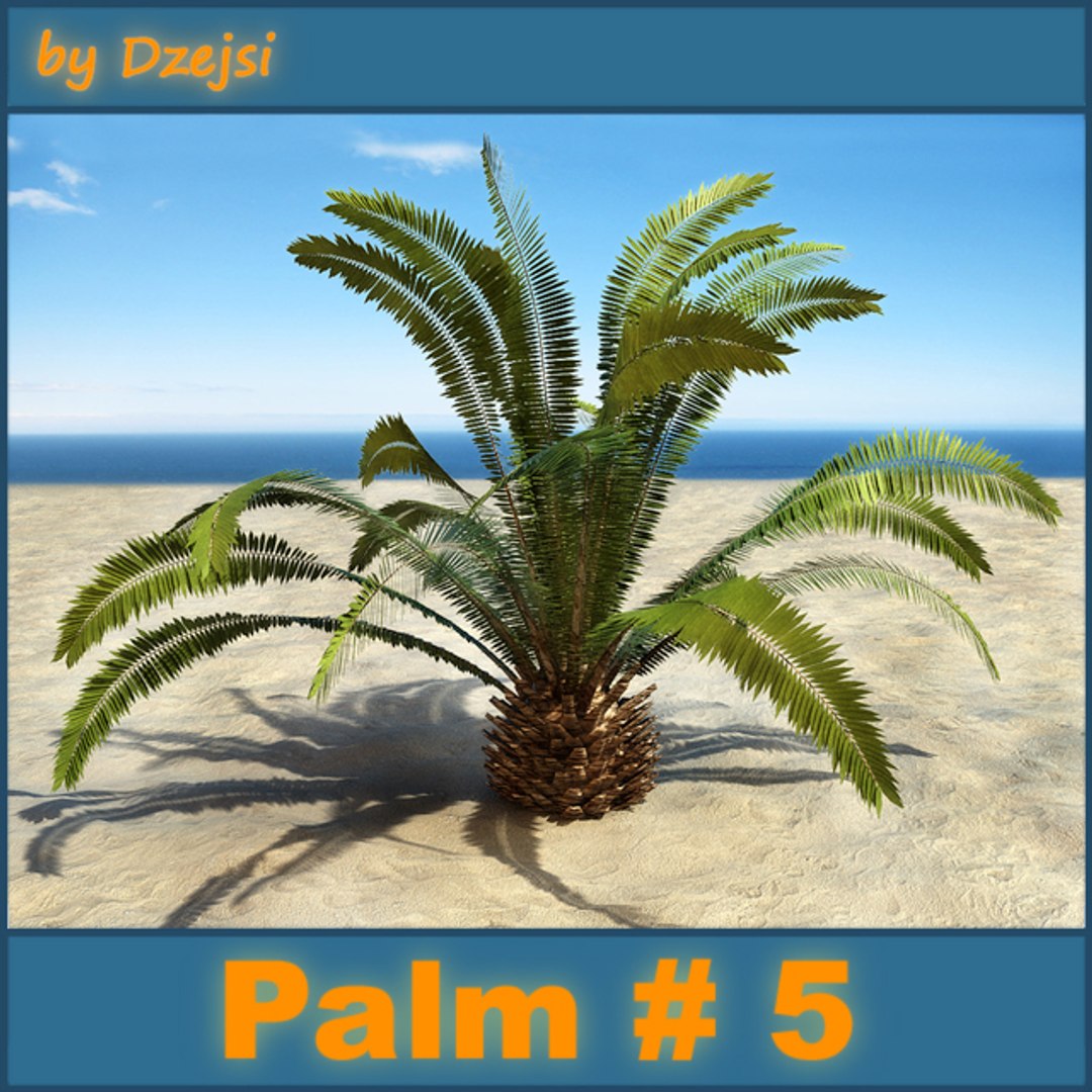 palm tree max