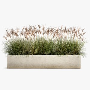 Potted reeds for landscaping 1064 3D model