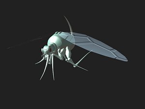 SPACE LICE