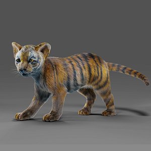 Tiger Cub Animal - 3D Model by Nyilonelycompany