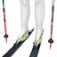 Cross Country Skiers PACK