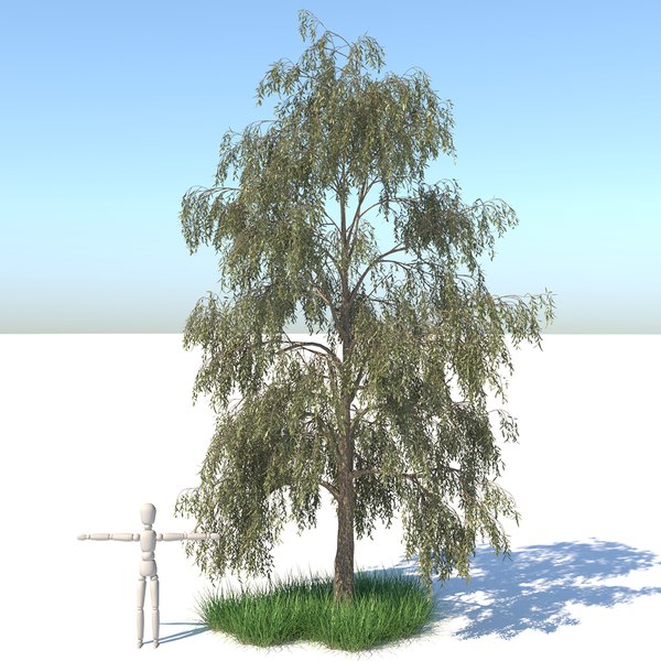 realistic birch tree grass model