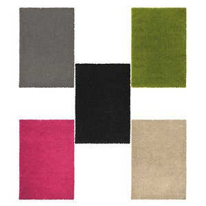 3D model carpet 5 colors