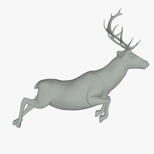 3D Deer running