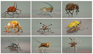 3d model insect master