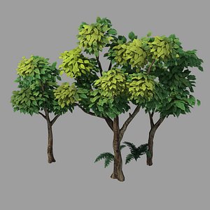 plants - shrubs 58 3D model
