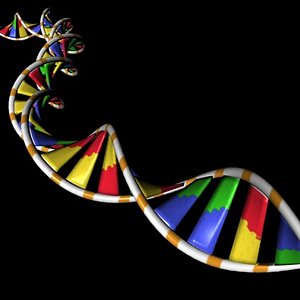 DNA